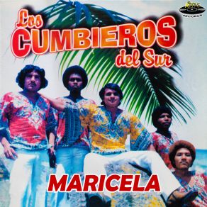 Download track La Casada Los Cumbieros Del Sur