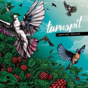 Download track Home Is Run No More Turnspit