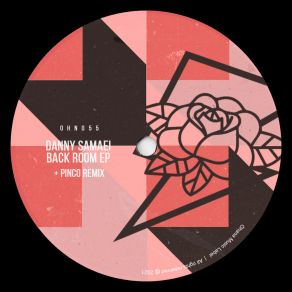 Download track Back Room (Pinco Remix) Danny SamaeiPinco