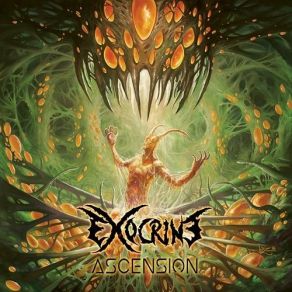 Download track Garden Of Flesh Exocrine