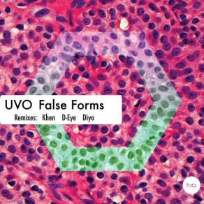 Download track False Forms (D-Eye Rmx) Uvo