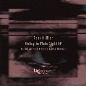 Download track Hiding In Plain Sight (Original Mix) Ross Hillier