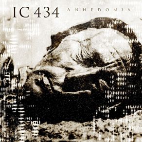 Download track An Ideal World IC 434