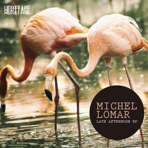 Download track Late Afternoon (Original Mix) Michel Lomar