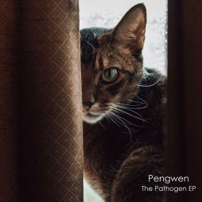 Download track Impulse Pengwen