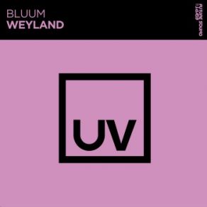 Download track Weyland (Extended Mix) Bluum