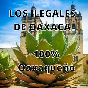 Download track Mi Triste Vida Los Ilegales De Oaxaca