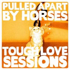 Download track Bromance Ain’t Dead (Live In London - Artrocker Session) Horses, Pulled Apart