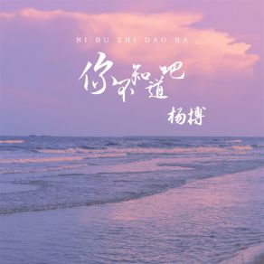 Download track 你不知道吧 (伴奏) 杨搏