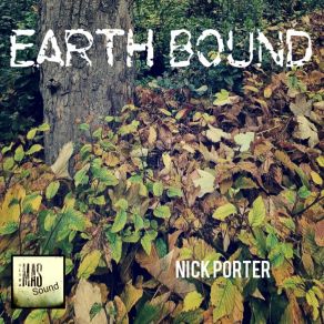 Download track Bamboo Forest (Original Mix) Nick Porter