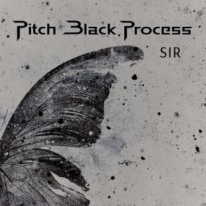 Download track Buselik Makamına Pitch Black Process