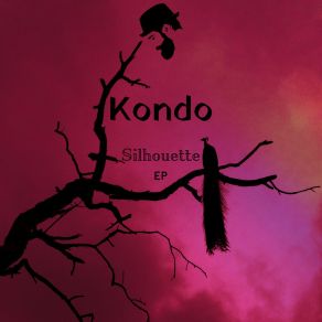 Download track Panoramic View Kondo