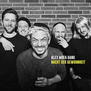 Download track Wie Lang Ist Schon Für Immer Alex Mofa Gang