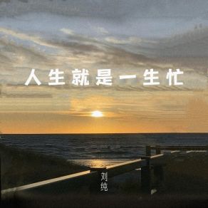 Download track 人生就是一生忙 (伴奏) 刘纯