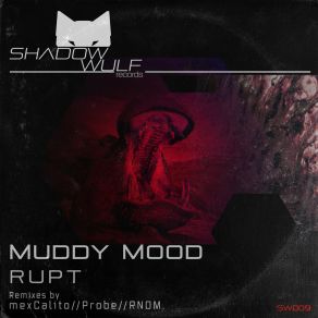 Download track Muddy Mood RUPT