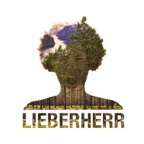 Download track Buy Me Lieberherr