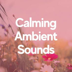 Download track Lullaby Magic Moments, Pt. 10 Easy Ambient Mind Body Soul Healing Meditation Music