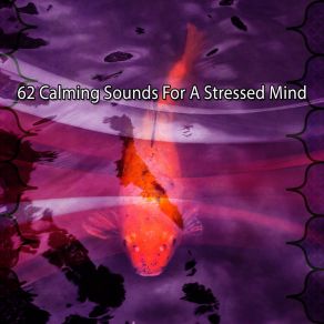 Download track Pressure Relief Brain Study Music Guys