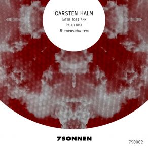 Download track Bienenschwarm (Rallo Remix) Carsten HalmRallo