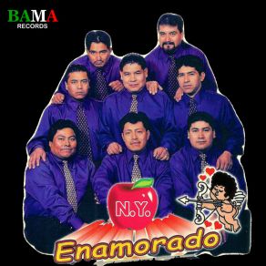 Download track Erika N. Y Enamorado