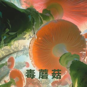 Download track 毒蘑菇 (洗脑版) 迷岛聚会