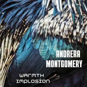 Download track Forgetting Disgrace Andrera Montgomery