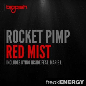 Download track Dying Inside (Original Mix) Rocket PimpMarie Louise