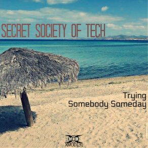 Download track Somebody Someday (Original Mix) Secret Society Of Tech