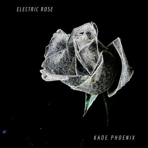 Download track Electric Rose Kade Phoenix