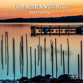 Download track Soul Of A Twain Eivind Austad New Orleans TrioJames Singelton, Johnny Vidachovic