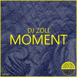 Download track Moment (Radio Edit) DJ Zoli