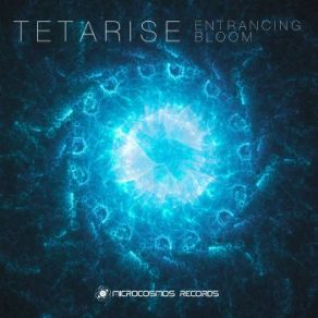 Download track Mist (Tetarise Mix) TetariseAMP!