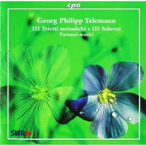 Download track 23. Trietto 2 In D Major, TWV 42-D2 - Vivace Georg Philipp Telemann