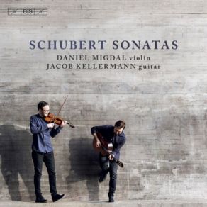 Download track 05. Duo Sonata In A Major, Op. 162, D. 574 (Arr. J. Kellermann For Violin & Guitar) II. Scherzo. Presto Franz Schubert