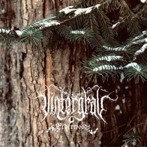 Download track Call Of The Wolf Vintergrav