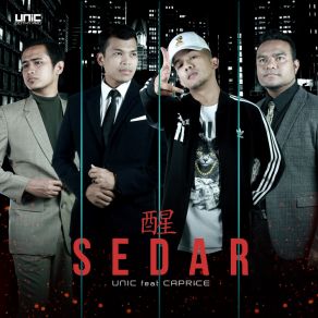 Download track Sedar Unic