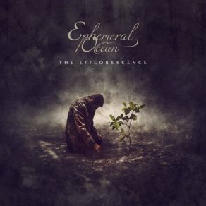 Download track Lullaby To Our Grudges Ephemeral Ocean