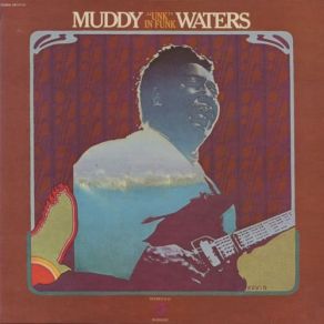 Download track Drive Me Blues Away Muddy Waters