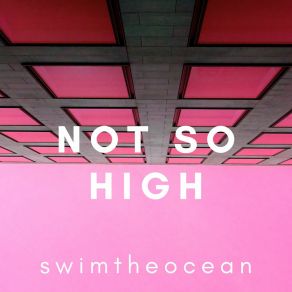 Download track Steeplechase Swimtheocean