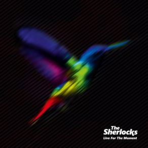 Download track Turn The Clock The Sherlocks