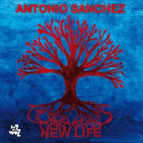 Download track Nighttime Story Antonio Sánchez