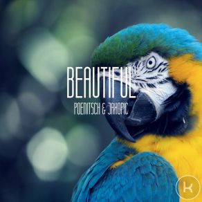 Download track Beautiful (Tom Appl Remix) Poenitsch & Jakopic