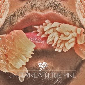 Download track Light Black Toro Y Moi