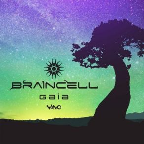 Download track Body Composition (Original Mix) Braincell, Unknown Reality