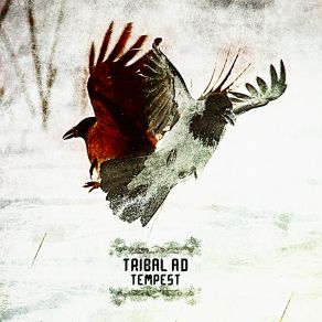 Download track Recoil (Fla Vector Remix) Tribal A. D.Fla Vector