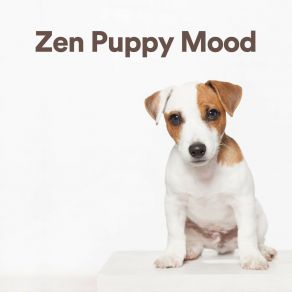 Download track Sense Emotions Calming For Dogs