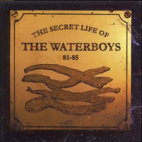 Download track Don't Bang The Drum - BBC Radio 1 Session, 20 November 1985 The Waterboys