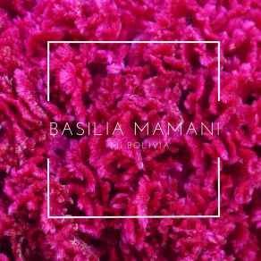 Download track Cervecita Basilia Mamani