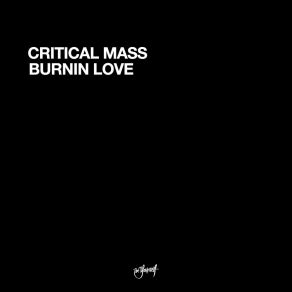 Download track Burnin Love Critical Mass