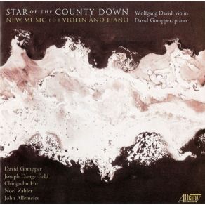 Download track 08. David Gompper - Star Of The County Down (2005) Wolfgang David, David Gompper